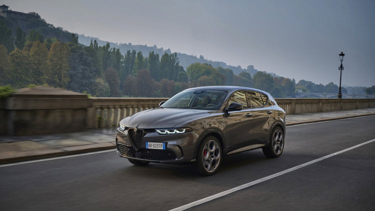 Alfa Romeo Tonale laadkabel en thuislader 7.4 kW Type 2