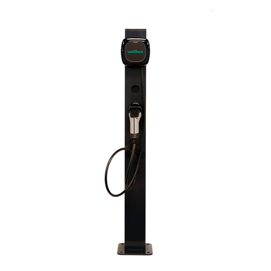 EV-Go Montagepaal voor Wallbox Pulsar Plus | Compleet met sokkel en montageset