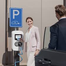 Alfen Double Plus kW Doppelte Ladestation (SCN, Load Balancing, OCPP)